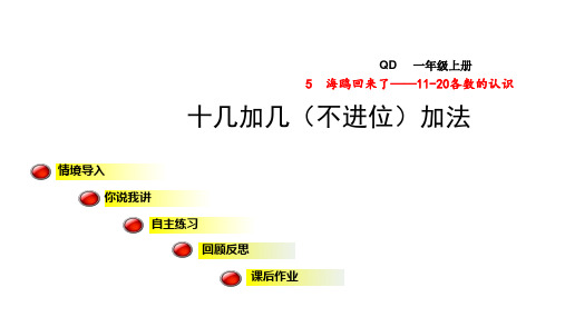 一年级上册数学课件第1课时十几加几(不进位)加法信息窗2青岛版(共15张PPT)