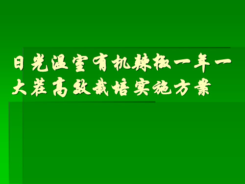 日光温室有机辣椒一年一   大茬高效栽培实施方案
