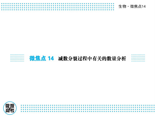 2017届高三生物二轮复习课件微焦点14减数分裂过程中的有关数量分析 (共46张)