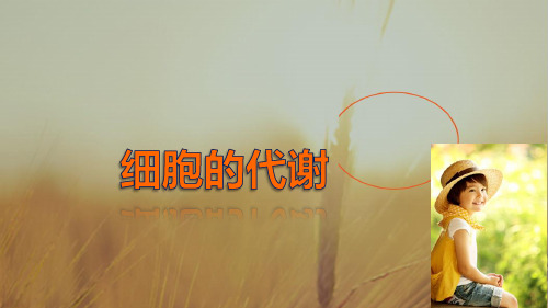 最新-2021生物浙科版必修1课件：第三章 12 物质出入细胞的方式 扩散和渗透 精品