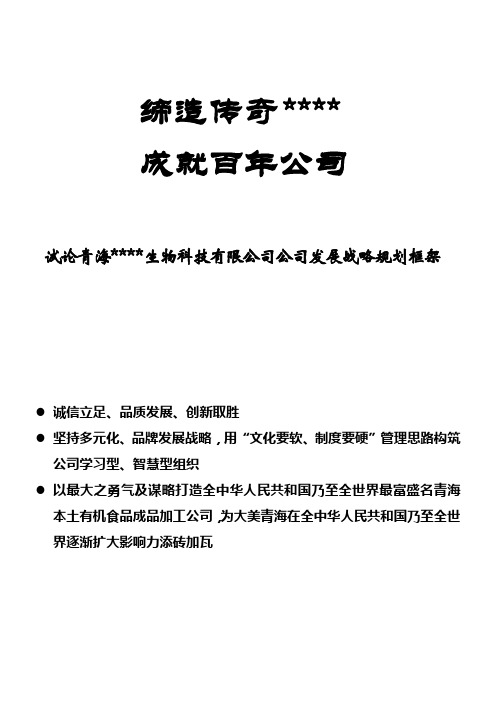 企业发展战略规划方案框架范例