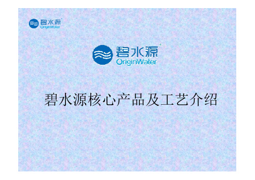 碧水源核心产品及工艺介绍