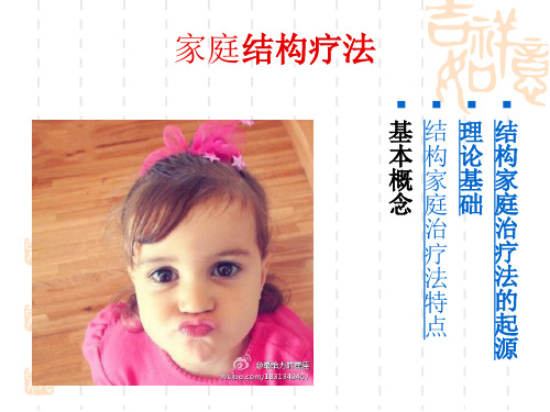 结构家庭疗法