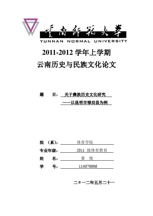 彝族