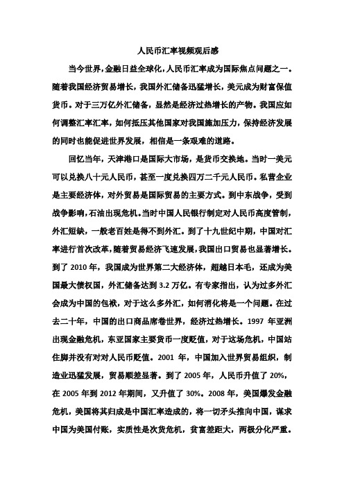 人民币汇率视频观后感