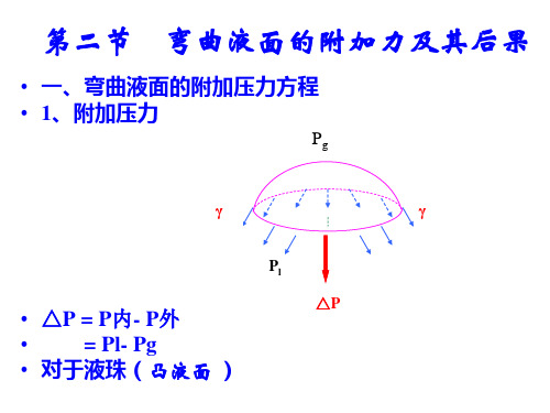 物理化学-界面化学2