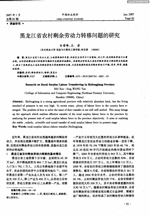 黑龙江省农村剩余劳动力转移问题的研究