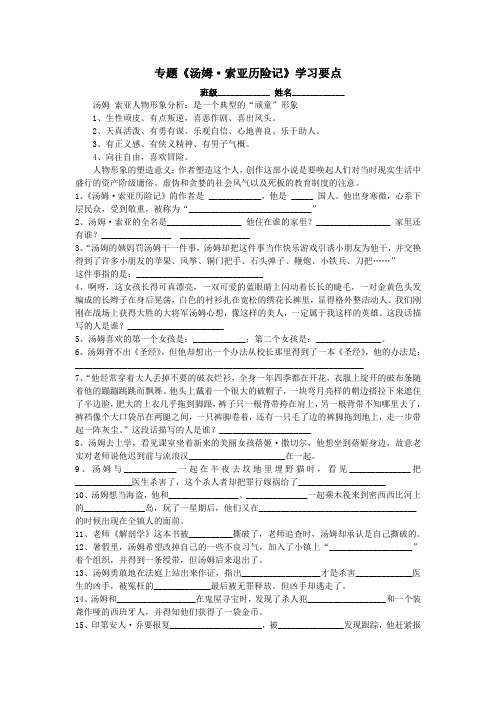 专题汤姆索亚历险记学习要点
