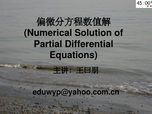 偏微分方程数值解PPT课件