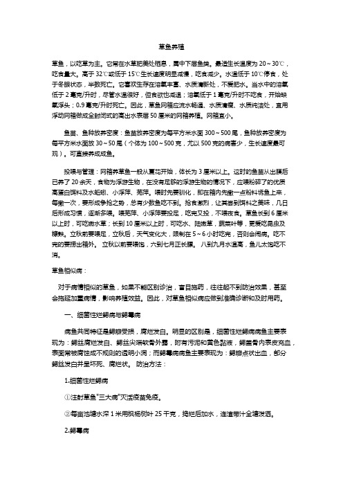 草鱼养殖