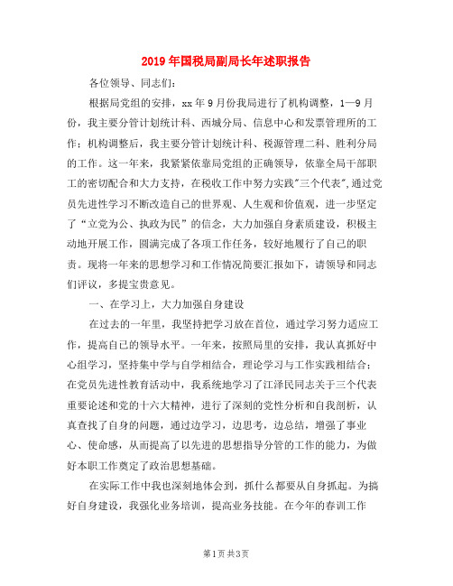 2019年国税局副局长年述职报告