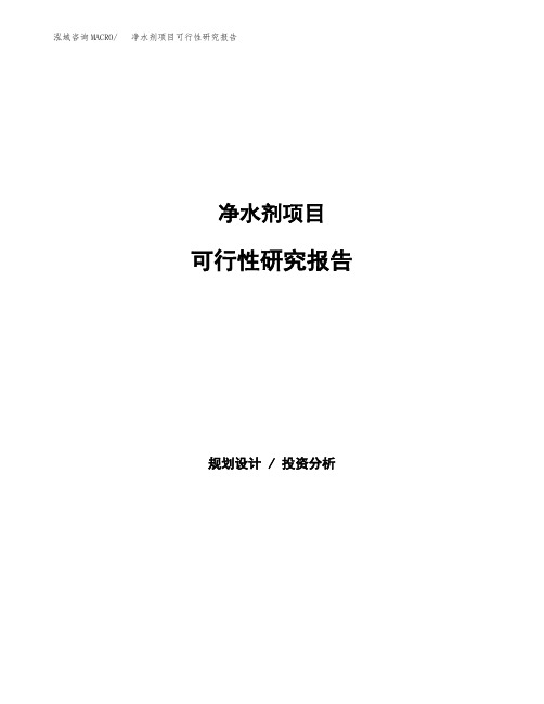 净水剂项目可行性研究报告发改委立项模板