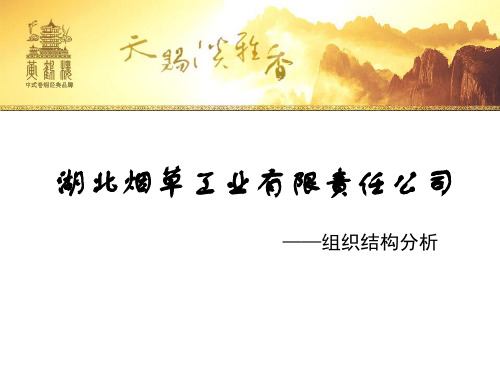 湖北烟草责任有限公司组织结构分析