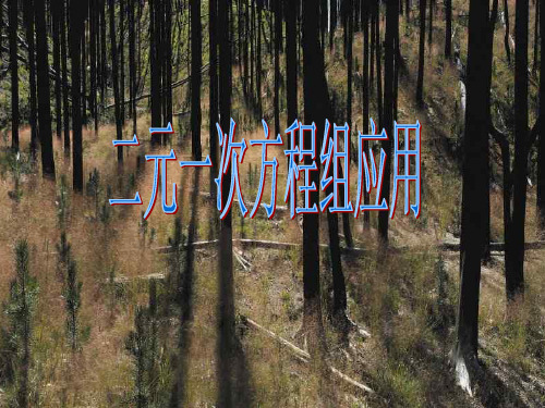 人教版二元一次方程组的应用PPT课件