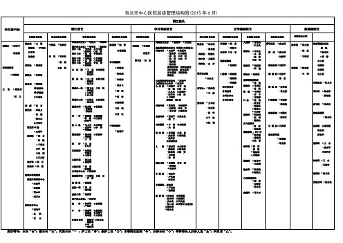 包头市中心医院层级管理结构图