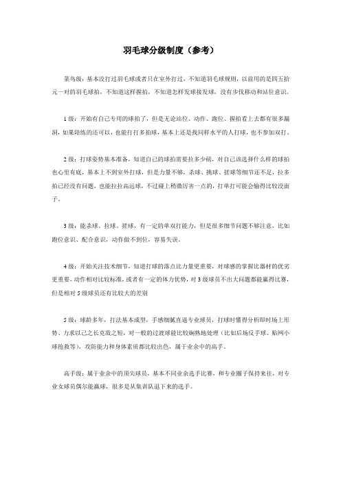 羽毛球分级制度