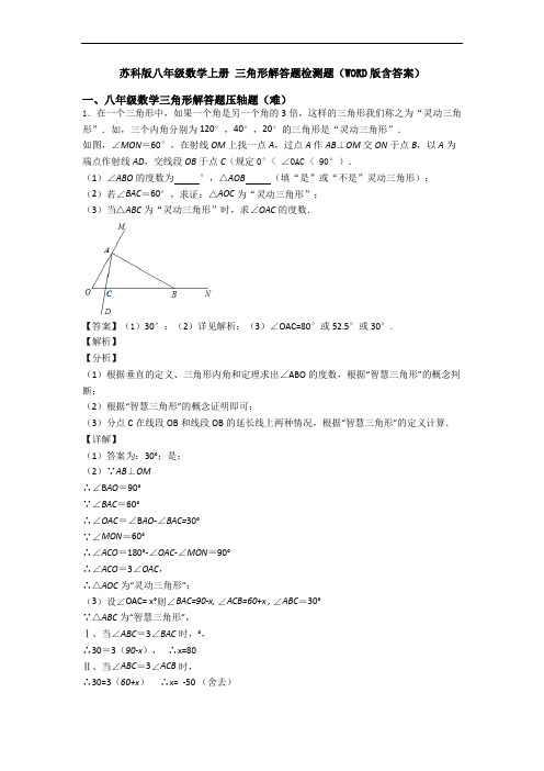 苏科版八年级数学上册 三角形解答题检测题(WORD版含答案)