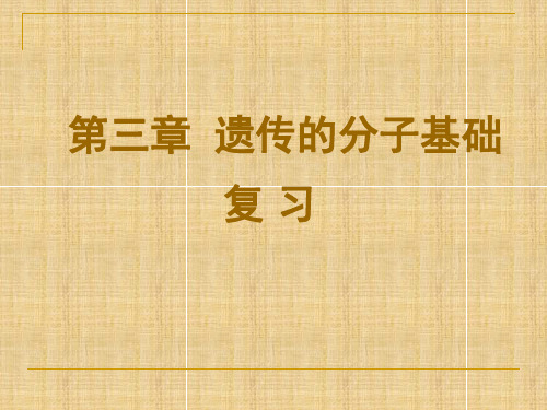 高三生物一轮专题复习名师精编课件：遗传的分子基础(新人教版必修2)