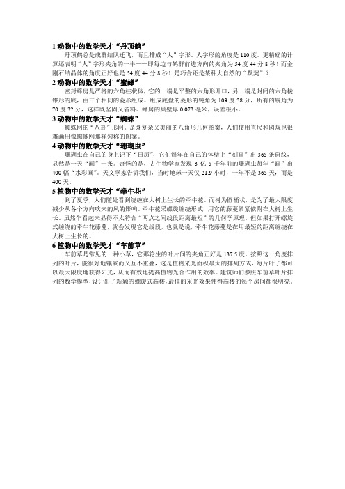 生物中的数学天才