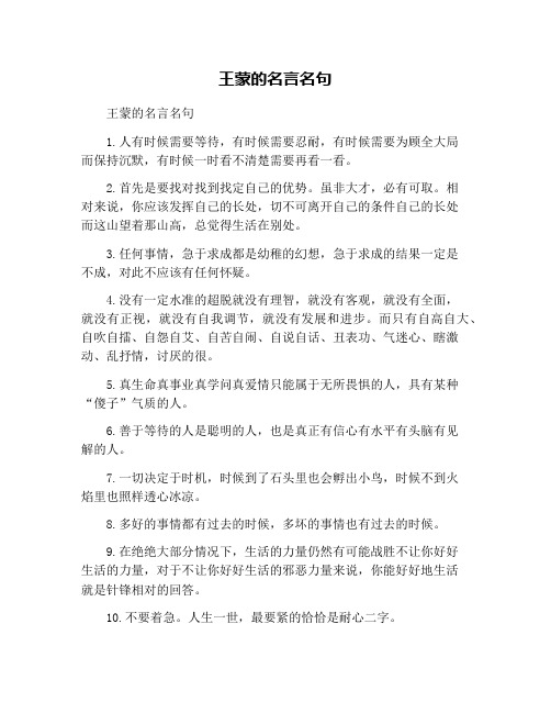 王蒙的名言名句