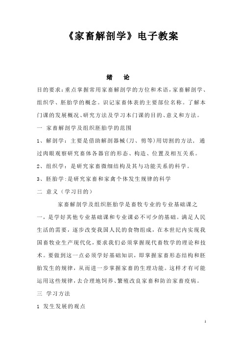 家畜解剖学电子教案
