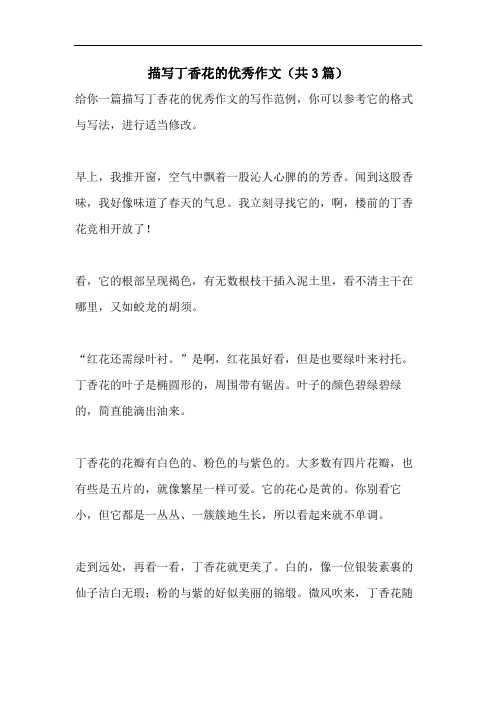 描写丁香花的优秀作文(共3篇)