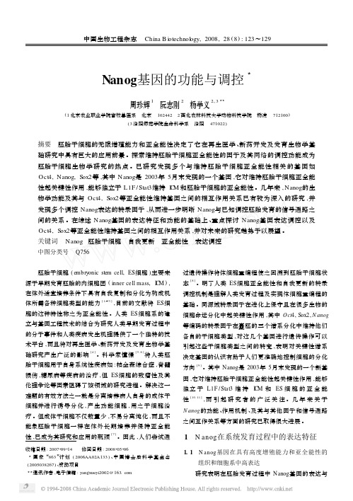 Nanog基因的功能与调控