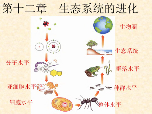 生态系统的进化-进化生物学-课件-12