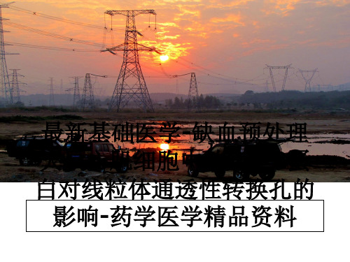 最新基础医学-缺血预处理大鼠心肌细胞中的Bcl-2蛋白对线粒体通透性转换孔的影响-药学医学精品资料