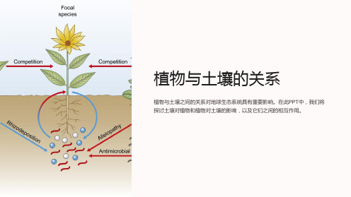 《植物与土壤的关系》课件