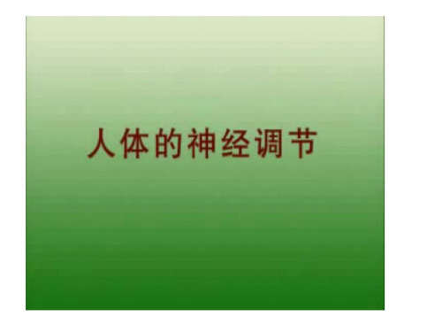 八年级生物人体的神经调节