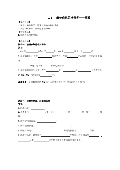 人教版必修一2.3遗传信息的携带者——核酸学案
