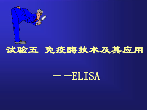 ELISA实验原理和操作