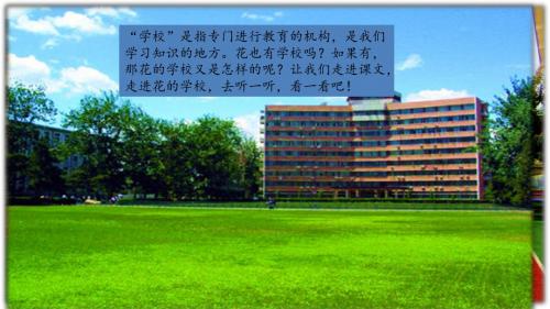 2 花的学校精制课件
