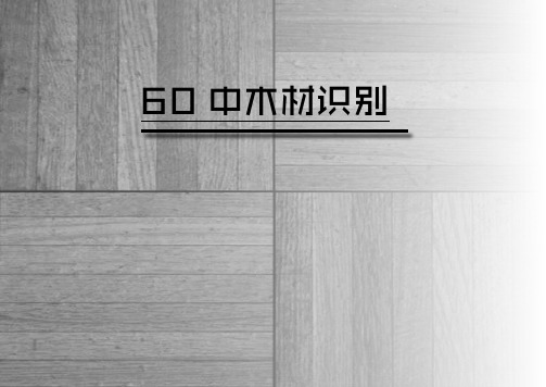 60种木材识别