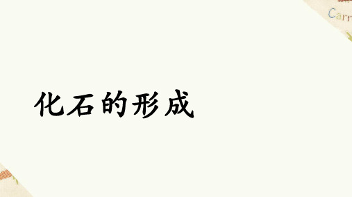 《澄江动物化石群》课文理解-化石的形成