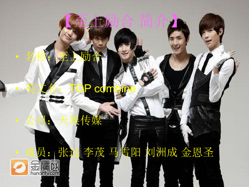 至上励合TOPCombine20页PPT