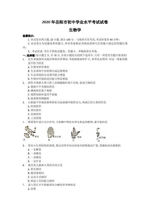2020年岳阳市初中学业水平考试试卷(有答案)