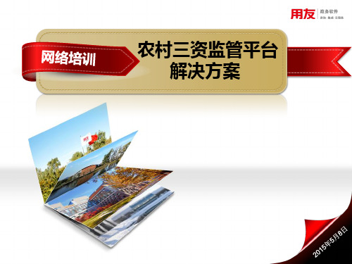 农村三资监管平台解决方案