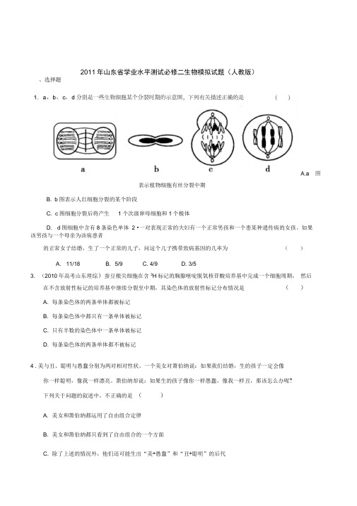 2011年山东省学业水平测试必修二生物模拟试题(人教版)(7)