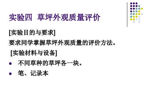 草坪外观质量评价