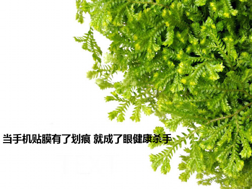当手机贴膜有了划痕 就成了眼健康杀手