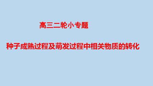 高三二轮小专题 种子成熟过程及萌发过程中相关物质的转化