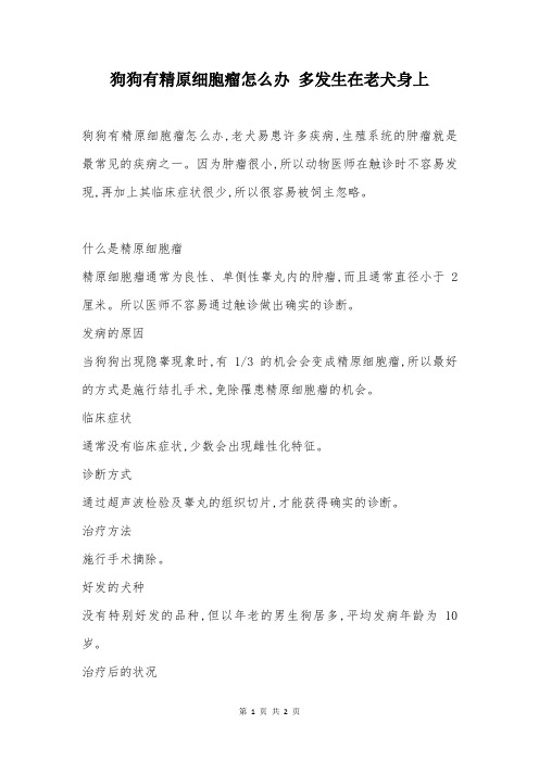 狗狗有精原细胞瘤怎么办 多发生在老犬身上