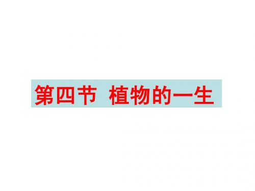 1.4 植物的一生(3个课时)