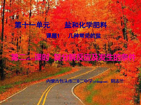 九年级化学下册 第十一单元 复分解反应及发生的条件课件 