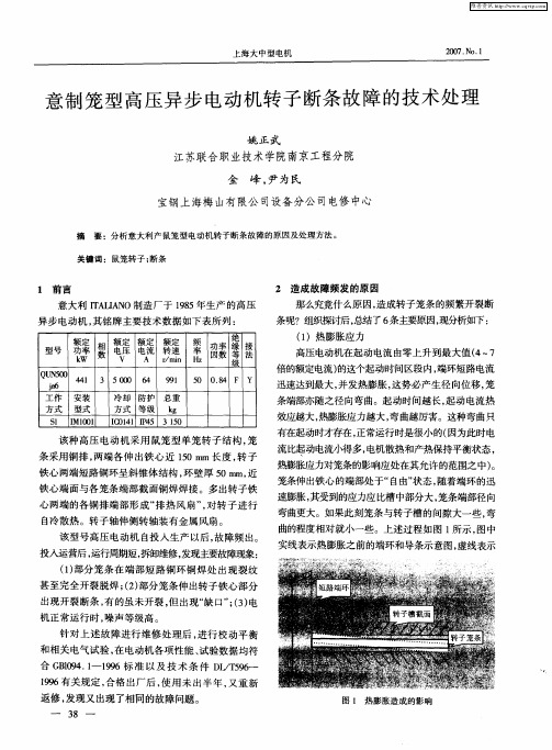 意制笼型高压异步电动机转子断条故障的技术处理