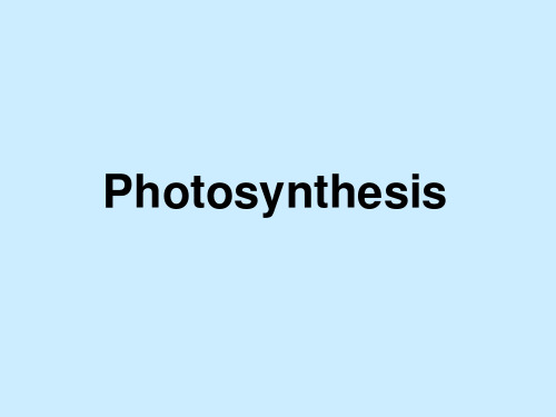 Photosynthesis