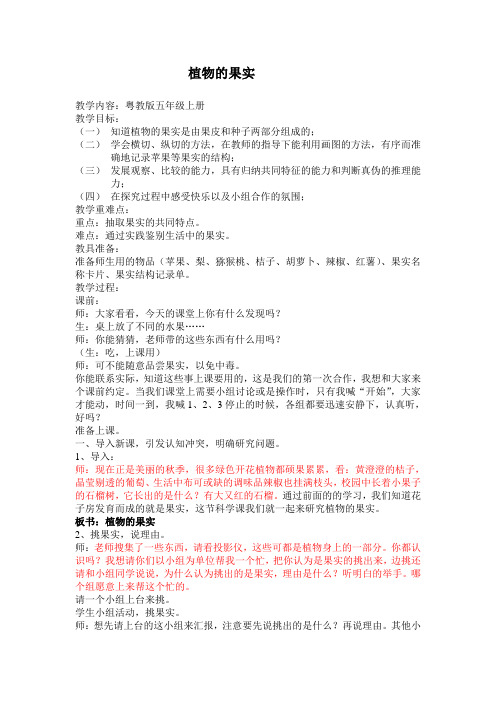 植物的果实