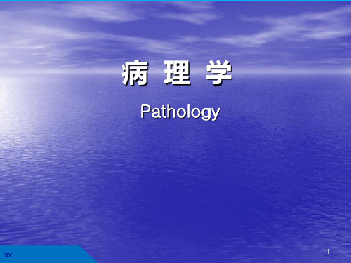 病理细胞与组织的适应损伤及损伤修复 ppt课件